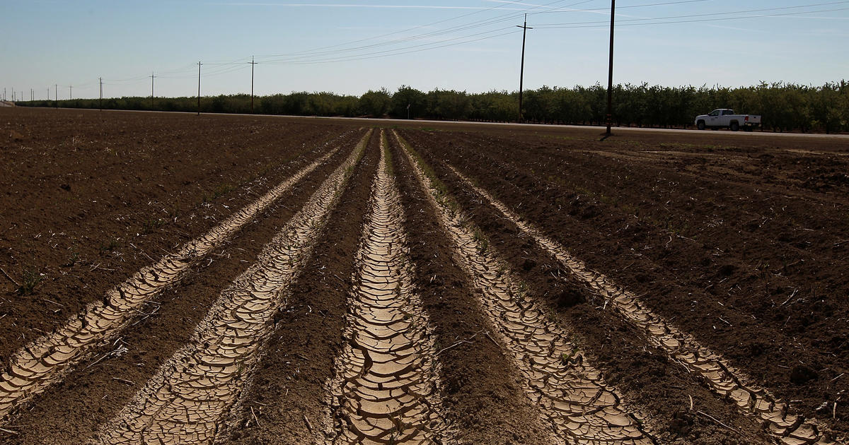 Feds want to pay farmers to leave fields unplanted to fight western drought