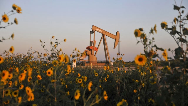 oil.jpg 