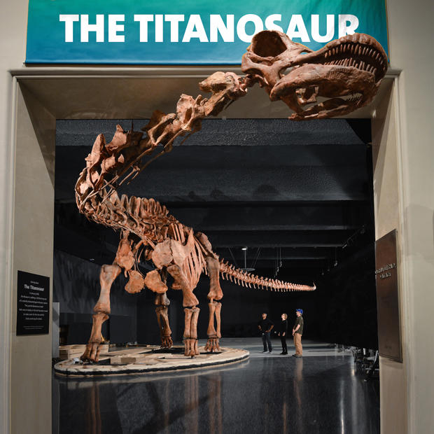 titanosaur-11-overview.jpg 