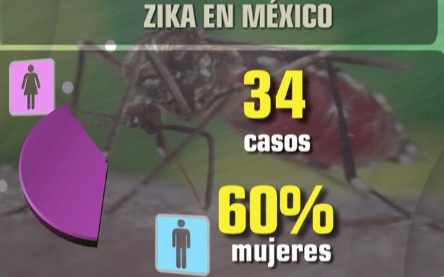 zika2.jpg