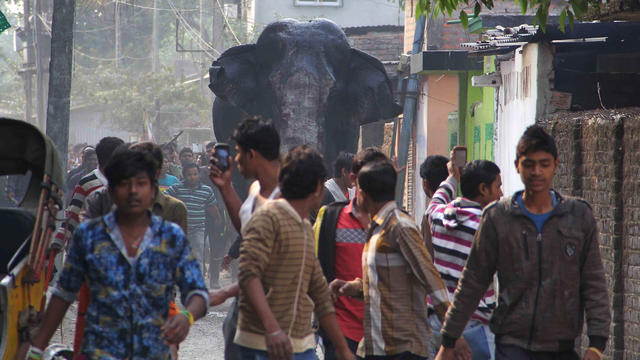 indiaelephantap937912383725.jpg 