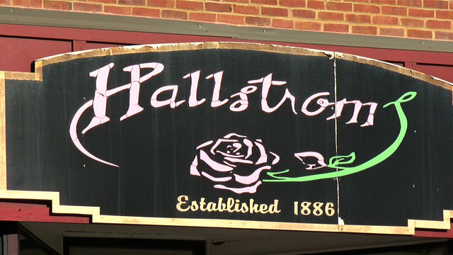 hallstroms-flower-shop-best-of-minnesota.jpg 