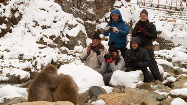 mark-hemmings-snow-monkeys-photo-tour-610.jpg 