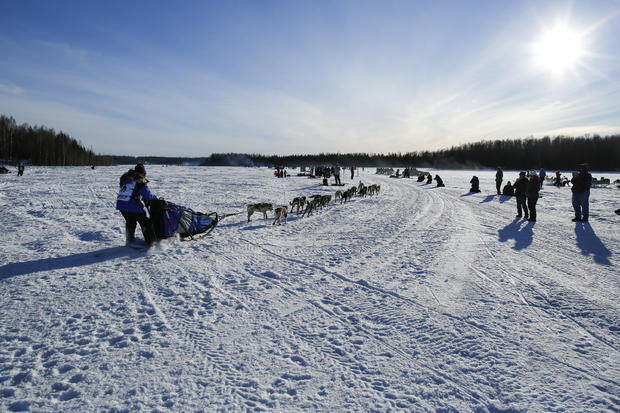 Iditarod dog-sled race-2016-03-07t080205z2014645366d1besrcjazaartrmadp3usa-iditarod.jpg 