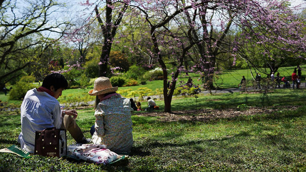 Spring Comes To Brooklyn Botanical Gardens 