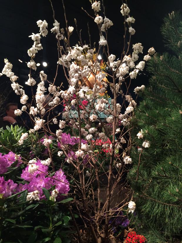 Floral Tree At The 2016 Macy's Flower Show 