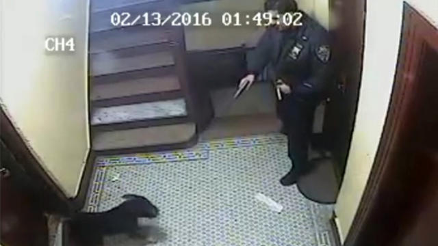 A New York police officer aims his weapon at a dog in New York City Feb. ​13, 2016, in a screen capture from surveillance video obtained by CBS New York. 