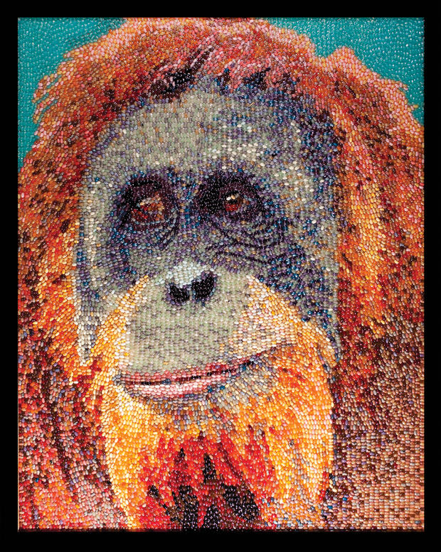 jelly-bean-art-orangutan.jpg 