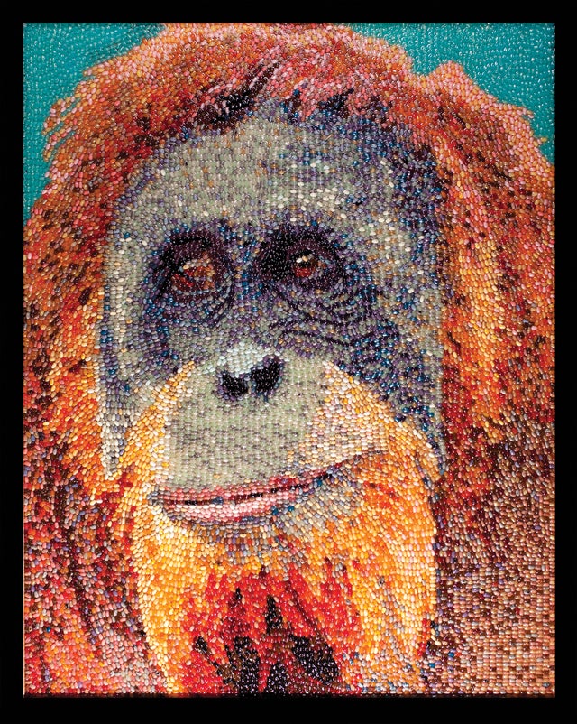 jelly-bean-art-orangutan.jpg 