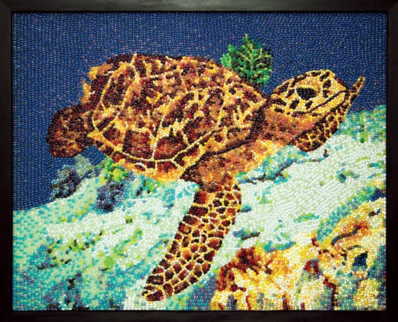 jelly-bean-art-turtle.jpg 