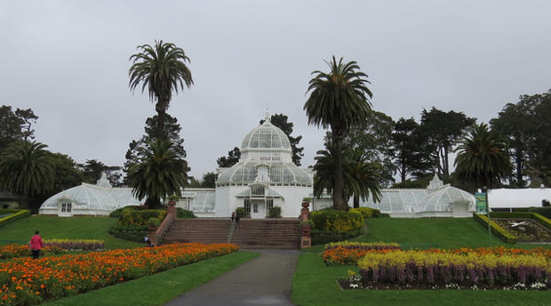 Conservatory of Flowers 