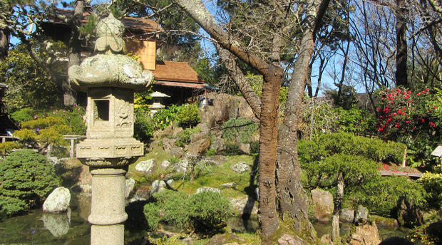Japanese Tea Garden 