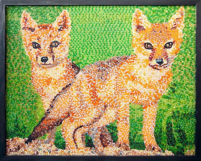 jelly-bean-art-swift-foxes.jpg 