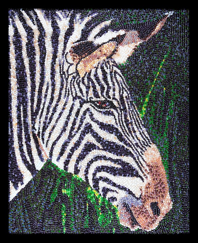 jelly-bean-art-zebra.jpg 