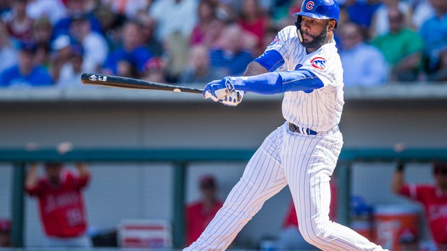 cubs513787288.jpg 