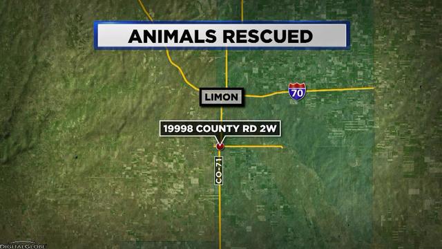lincoln-neglected-animals-map.jpg 
