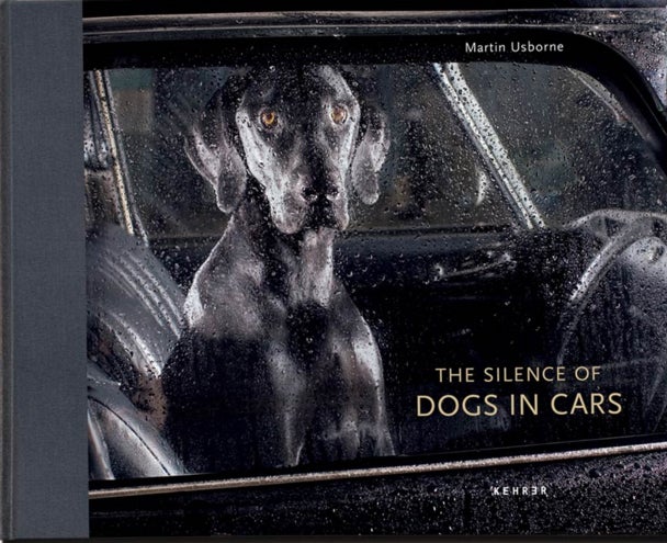 The Silence of Dogs in Cars