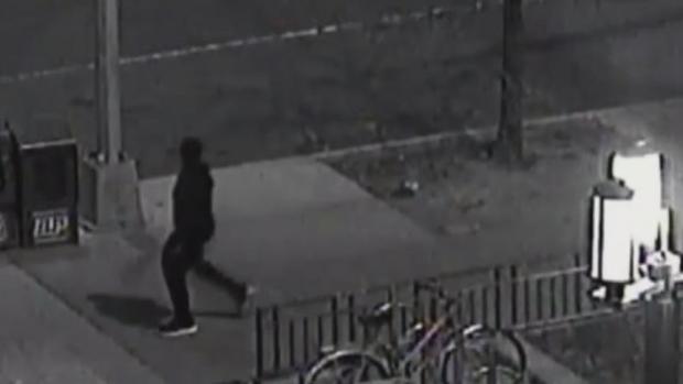 Prospect Park, Brooklyn Attempted Rape Suspect 