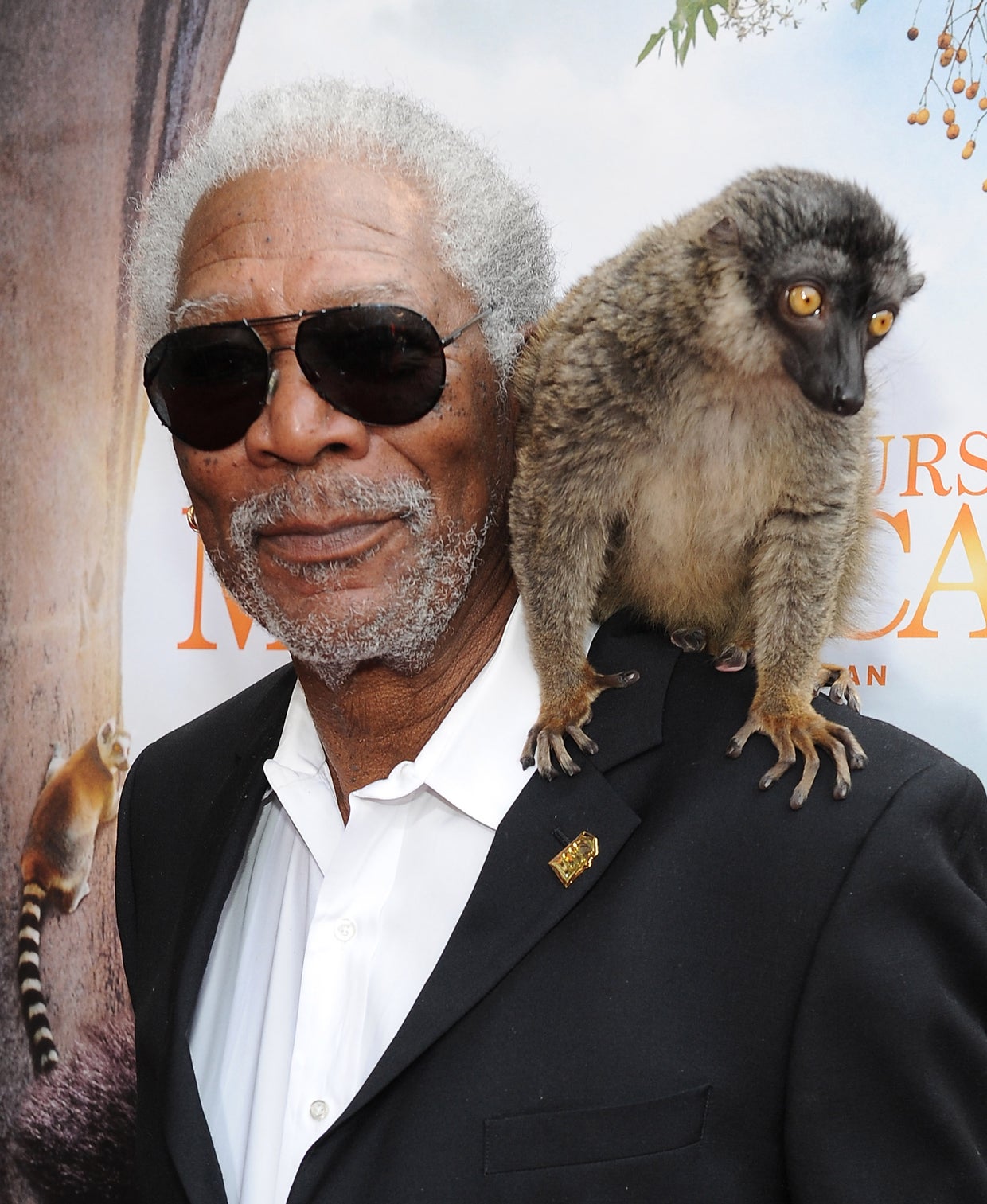 morgan-freeman-getty-481358711.jpg 