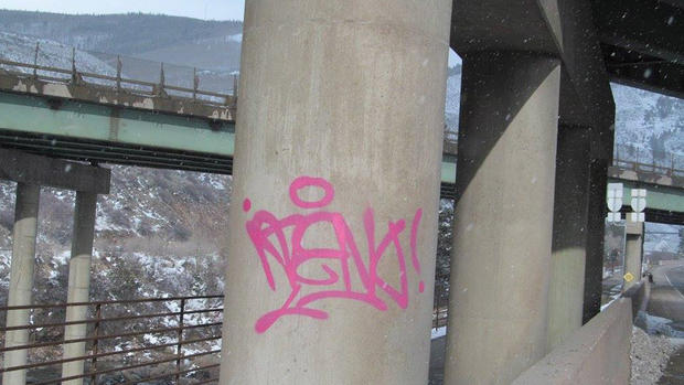 EagleCoSO vandalism6 
