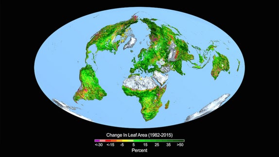 changing-leaf-area.jpg 