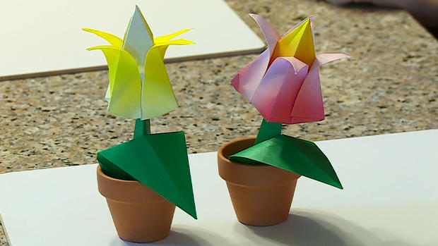 Origami Plants 