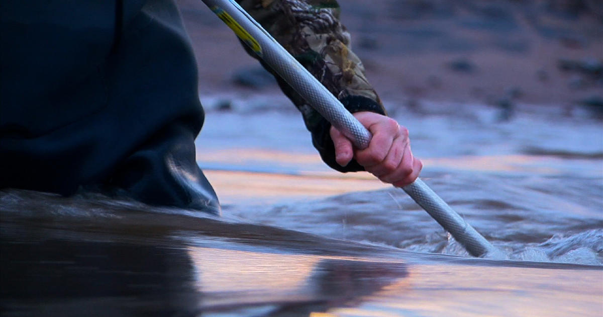Finding Minnesota: Smelt Fishing On Lake Superior - CBS Minnesota