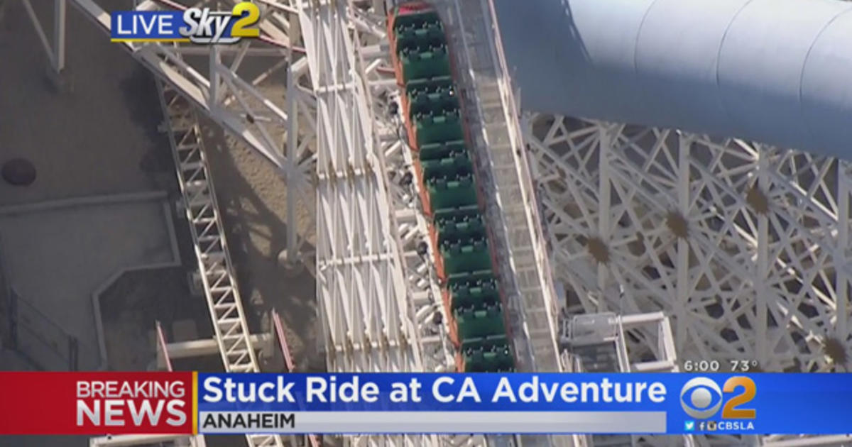Great Adventure Roller Coaster Shut Down After Patron Pulls Out Selfie 