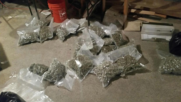 marijuana bust six bags 