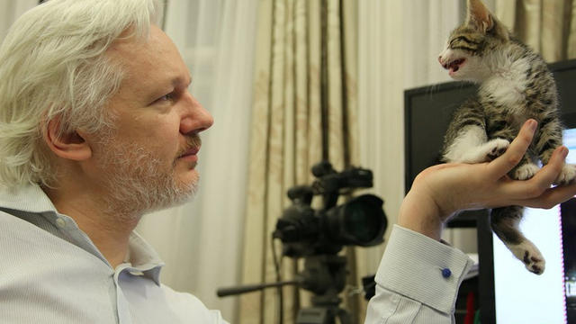Julian Assange and his kitten 