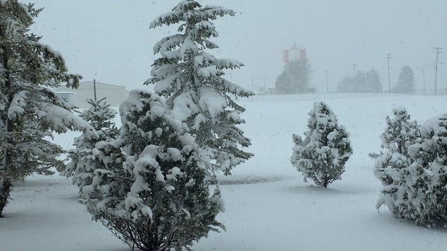maysnowmaine.jpg 