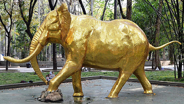 Zoo Miami Golden Elephant Statue 