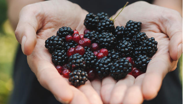 blackberries.jpg 