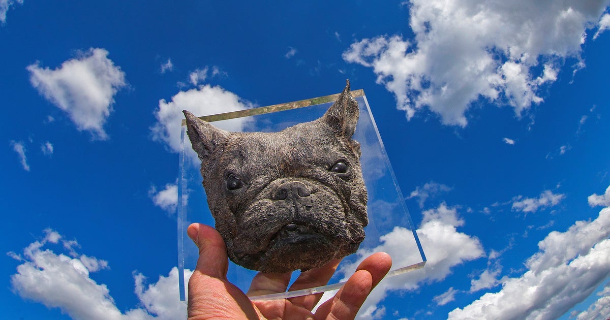 When a beloved pet dies