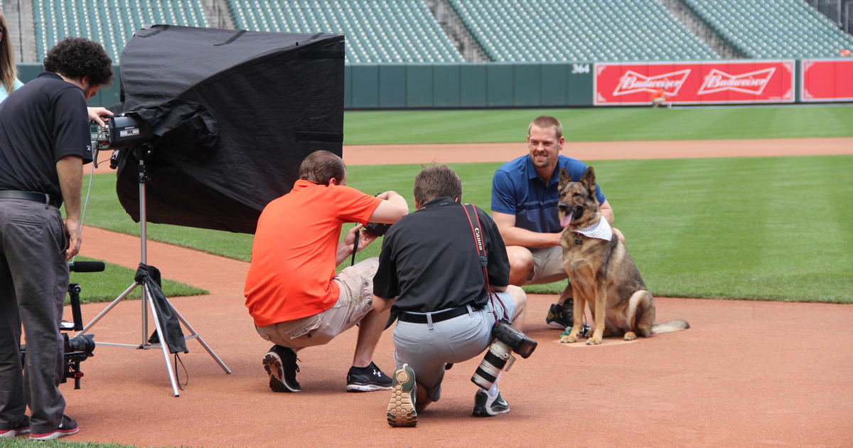 8th Annual Orioles Pet Calendar Is On Sale Now CBS Baltimore