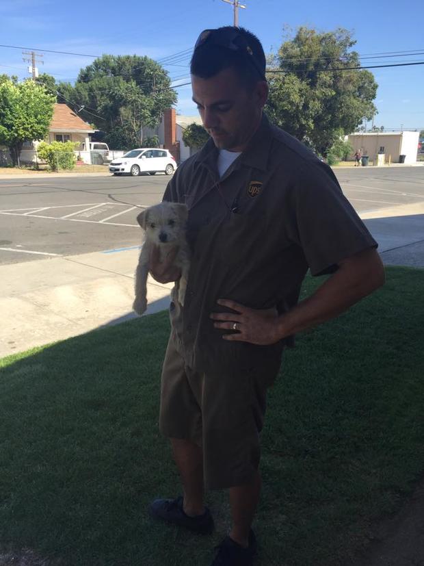 UPS Driver and puppy 