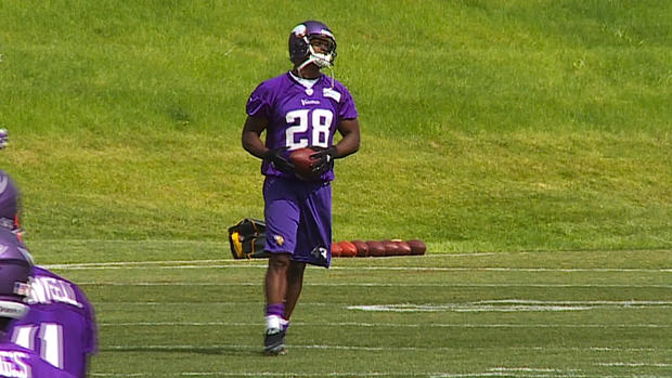 Adrian Peterson at minicamp 