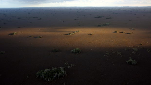The sensitive ecological landscape of Everglades National Park, home to many endangered and rare plants, is seen from the air on March 16, 2015, in Miami, Florida. 