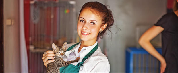 volunteer animal shelter 