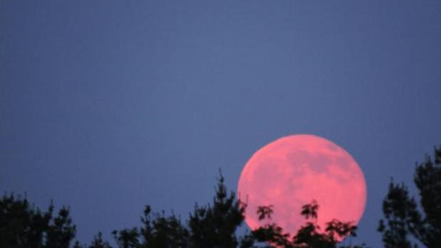 strawberry-moon-attempt-2 