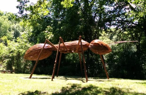 Arboretum Ant 