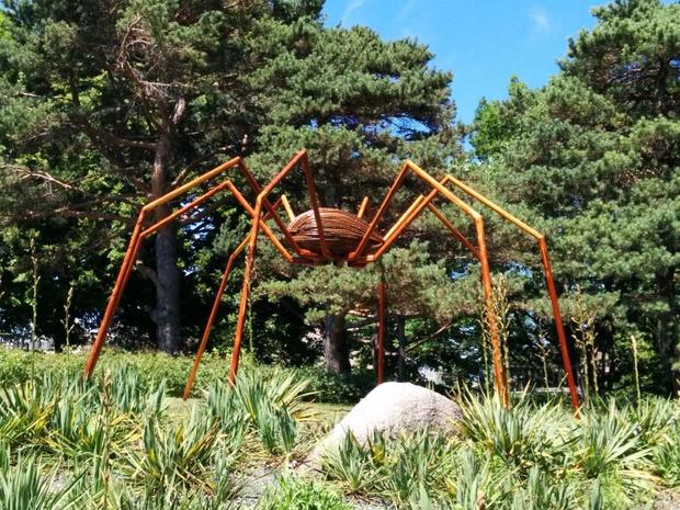 Arboretum Spider 