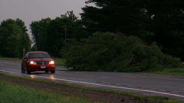 Pine tree on highway in Foley after storm 