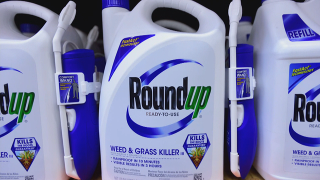 nfa-villarrealweed-killer-lawsuit-needs-gfxframe1742.png 