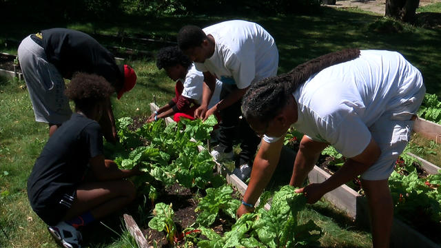 appetite-for-change-prepares-produce-for-west-broadway-farmers-market.jpg 