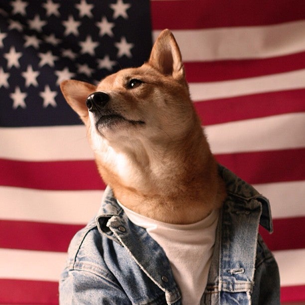 shiba inu menswear