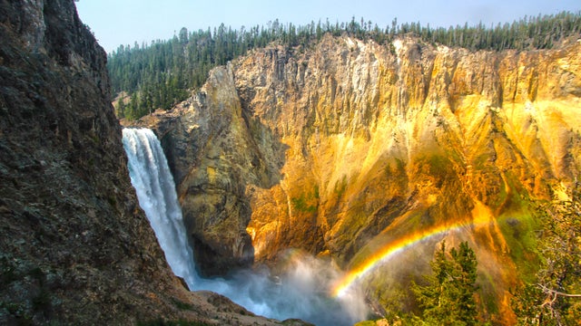 yellowstonenpkallemphillips.jpg 