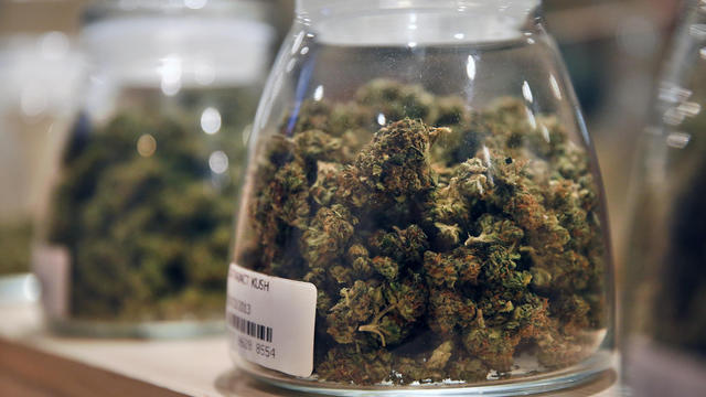 Marijuana is displayed at the River Rock dispensary in Denver on Oct. 23, 2013. 