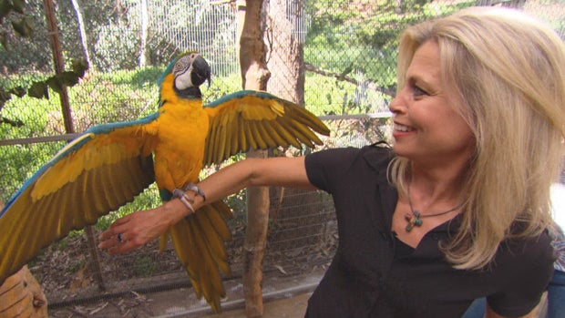 Correspondent Tracy Smith 