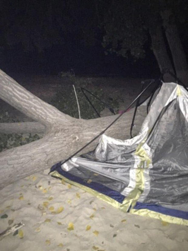 Tree on tent2 